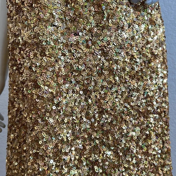 NWT Zara Sequin Slip Dress Limited Edition - Picture 14 of 14